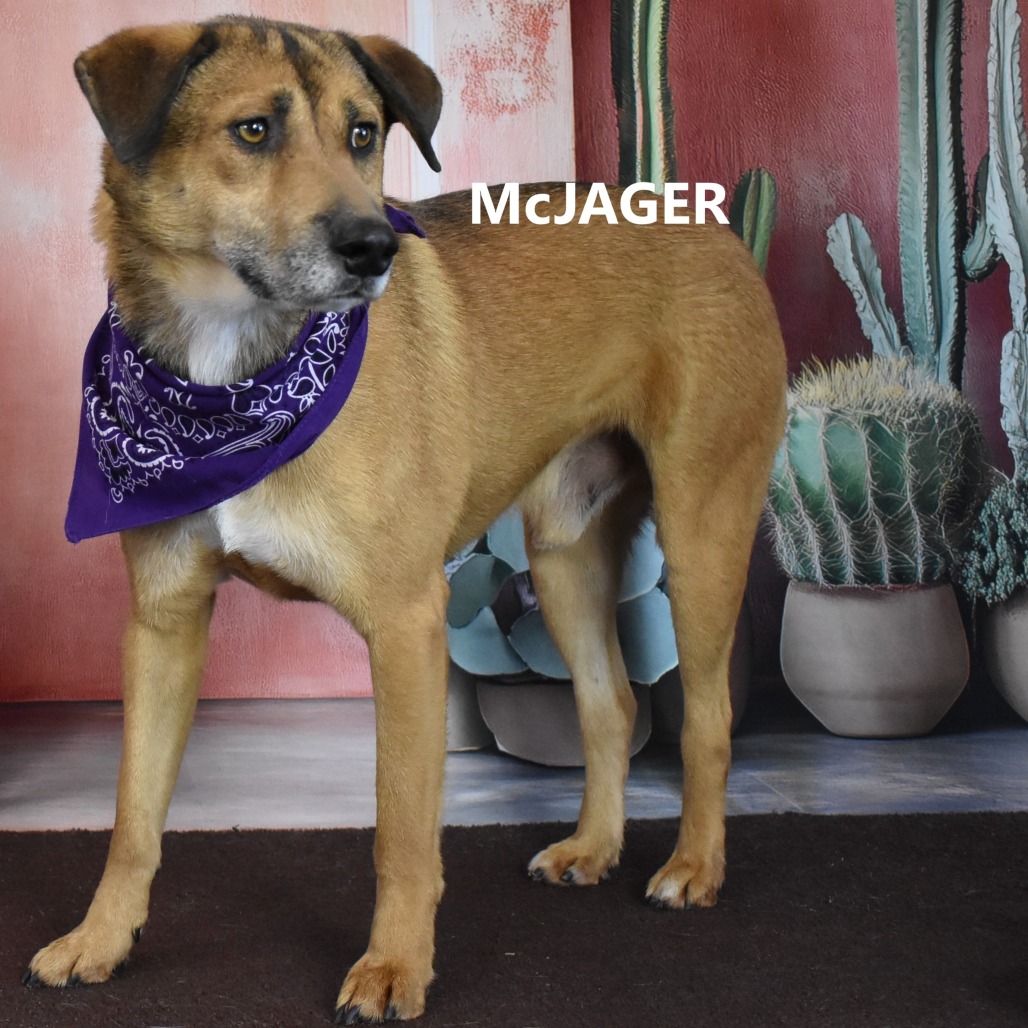 McJager