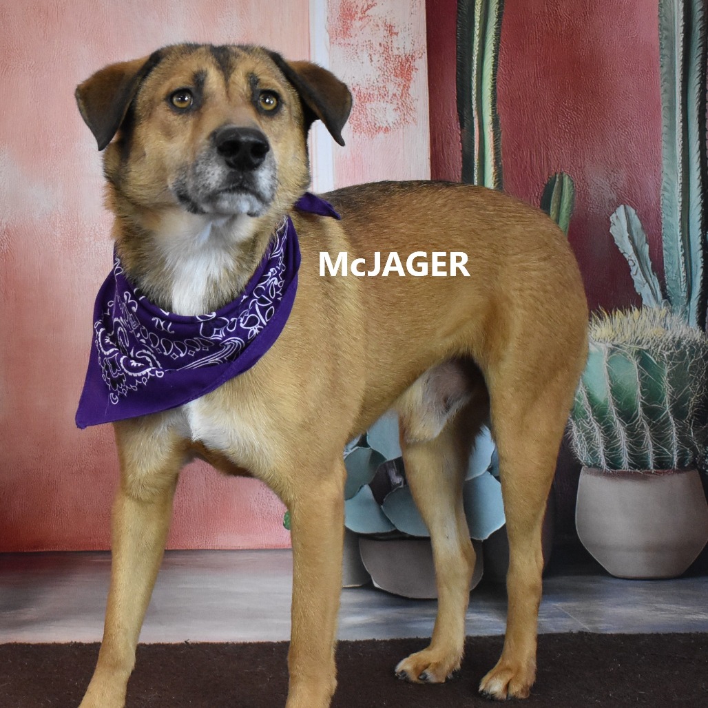 McJager