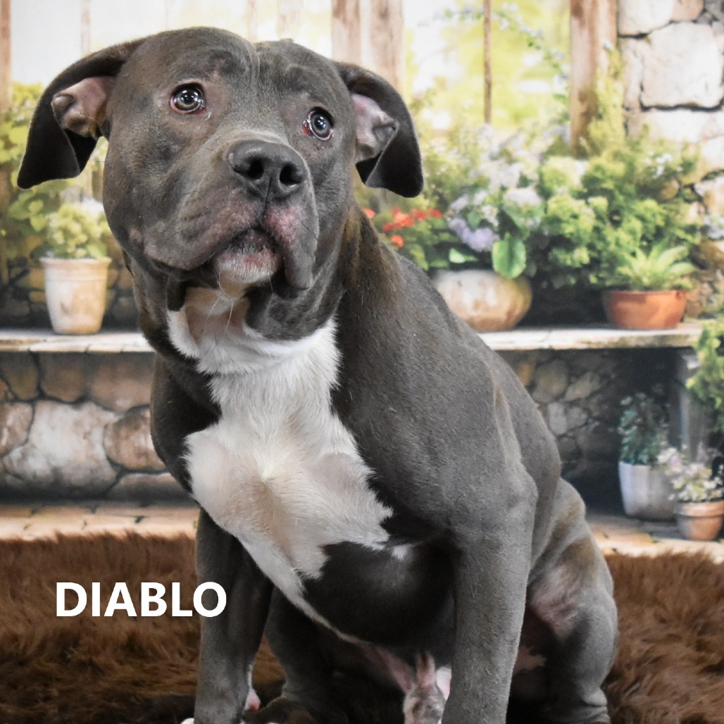 Diablo