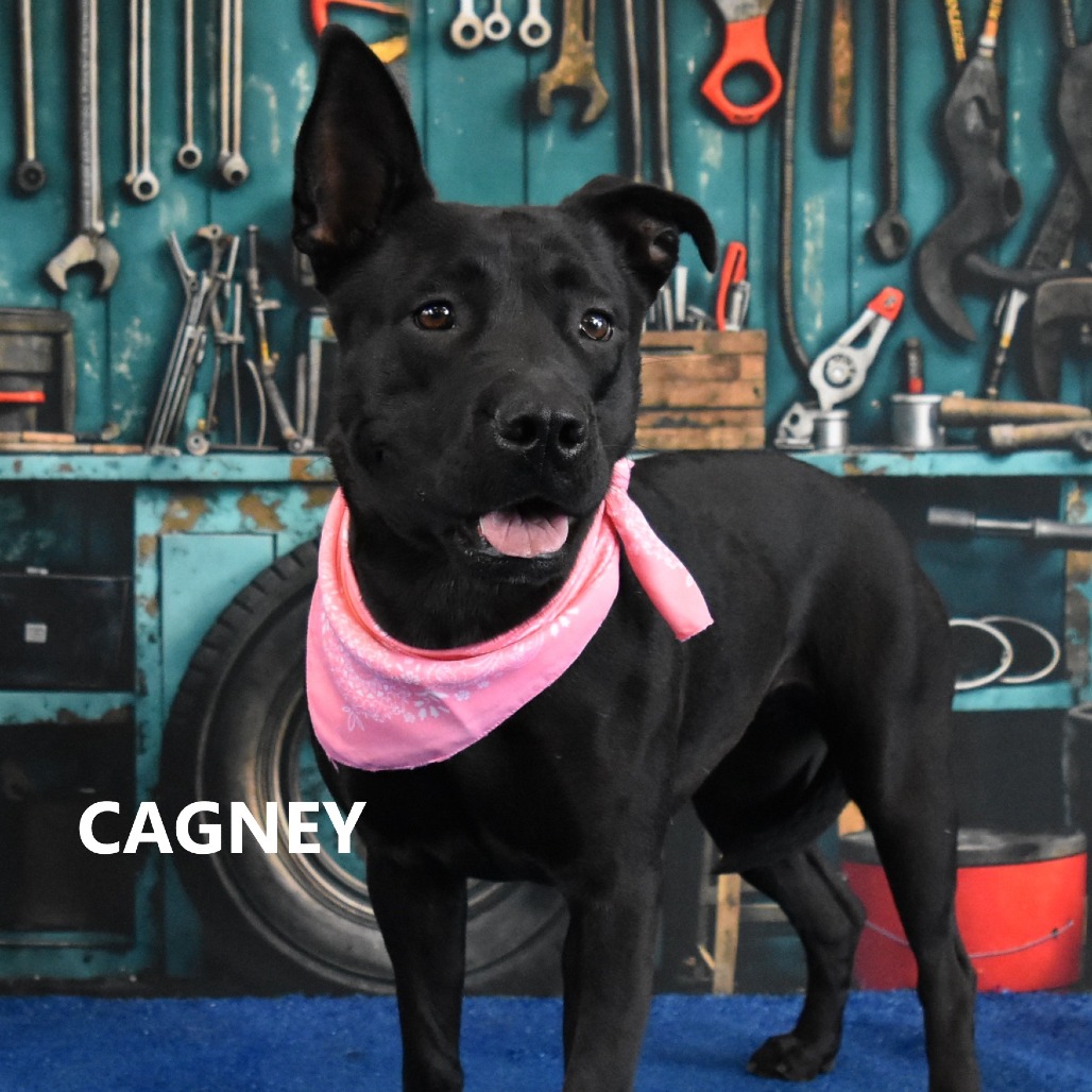 Cagney