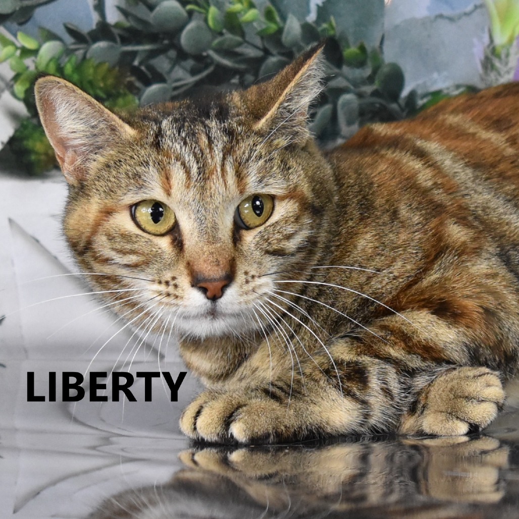 Liberty