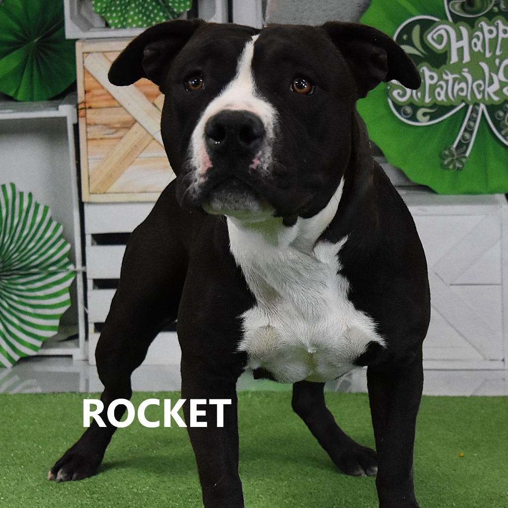 Rocket