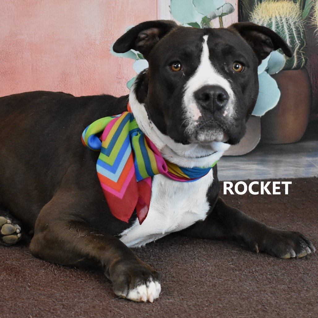Rocket
