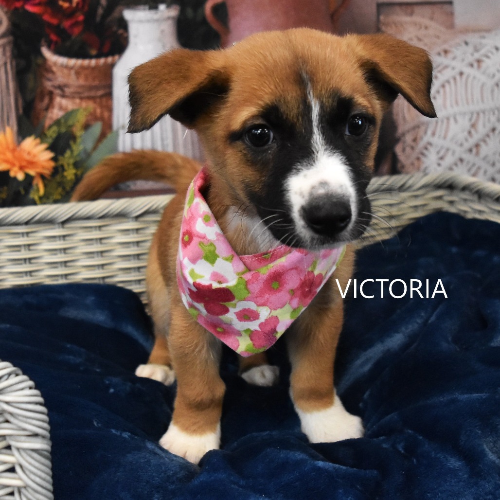 Victoria
