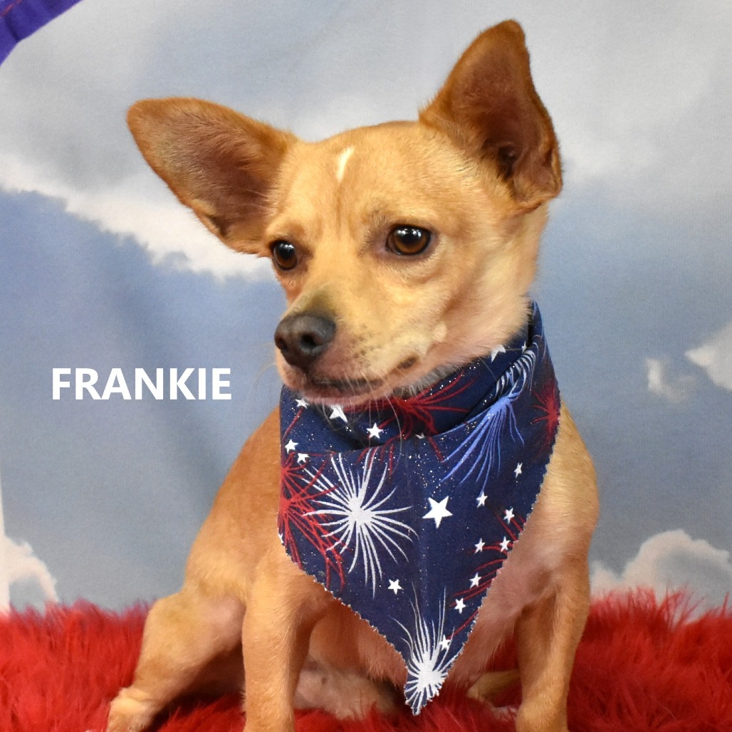 Frankie