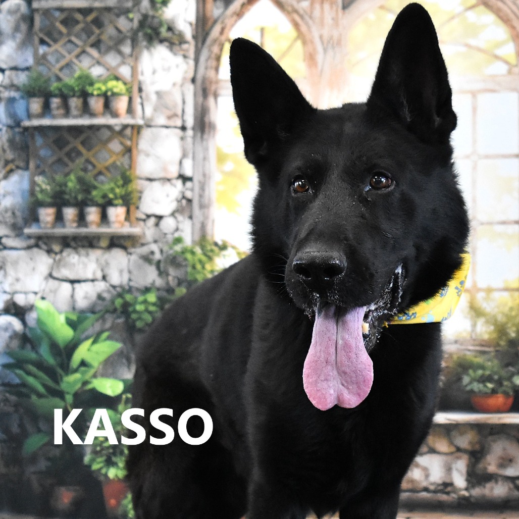 Kasso