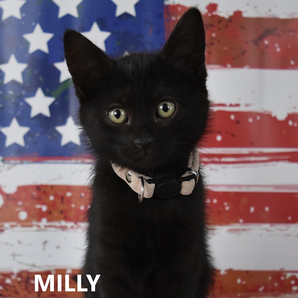 Milly