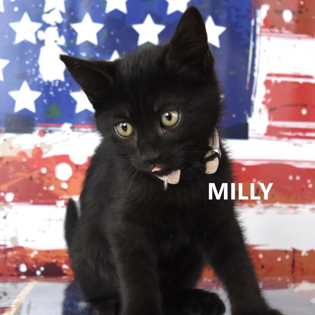Milly