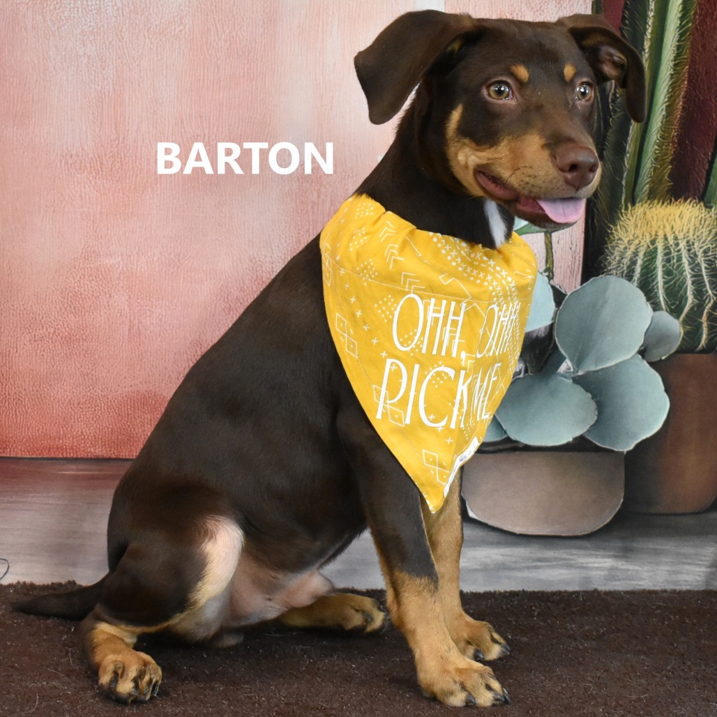 Barton