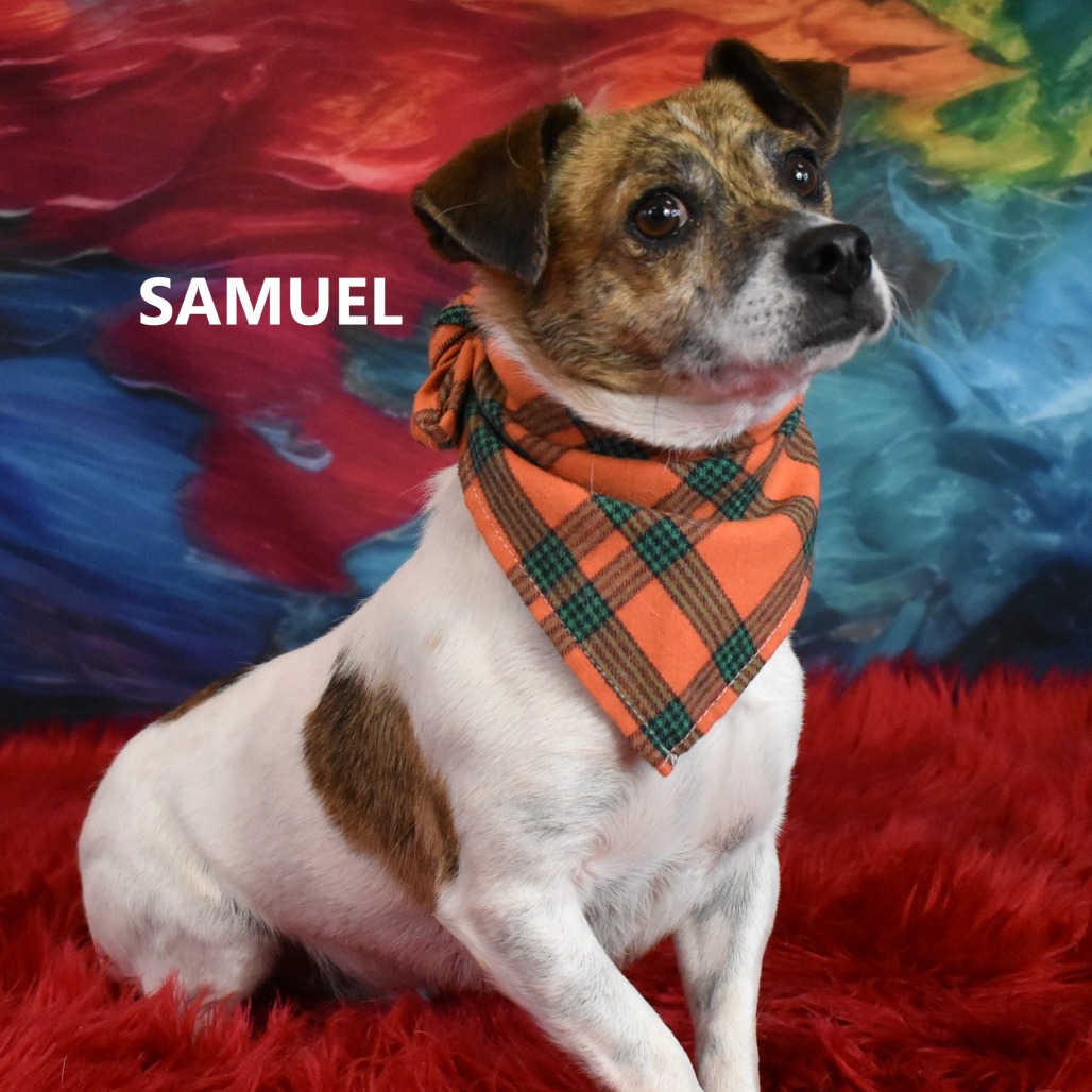 Samuel