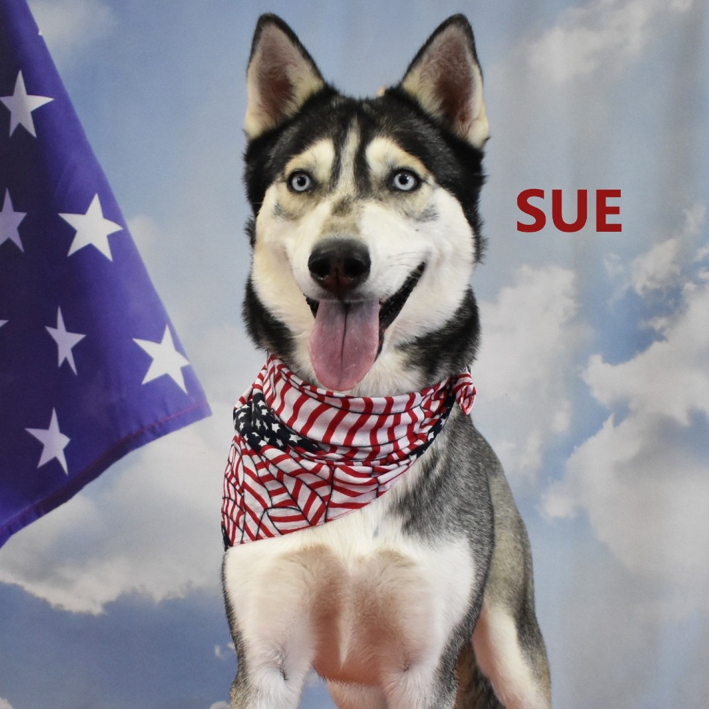 Sue