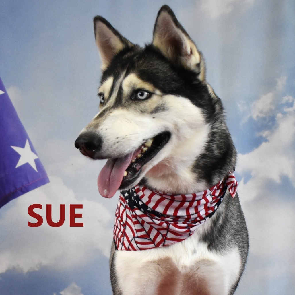 Sue