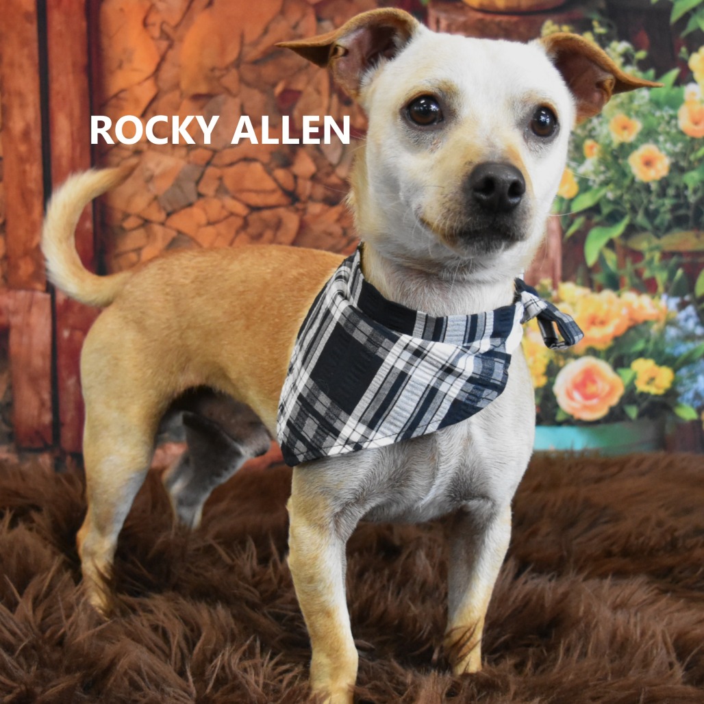 Rocky Allen