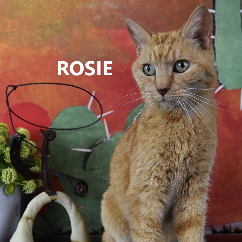 Rosie