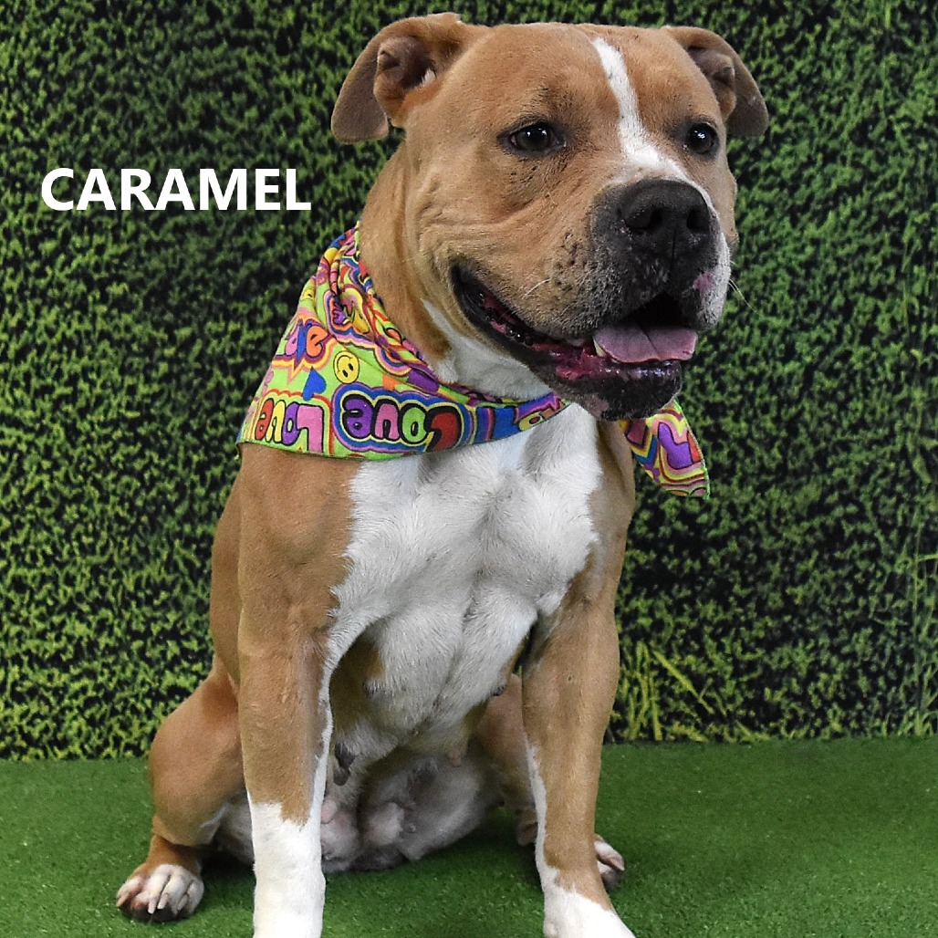Caramel