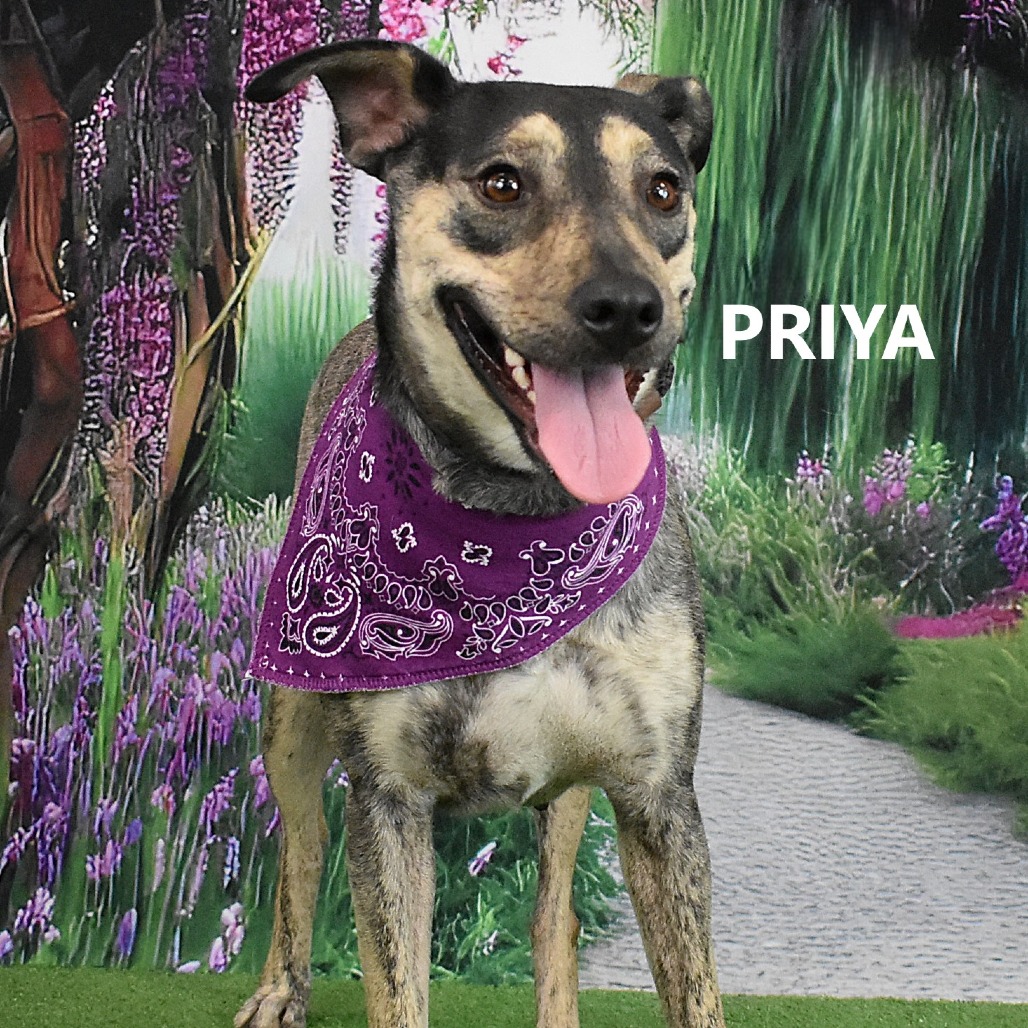 Priya