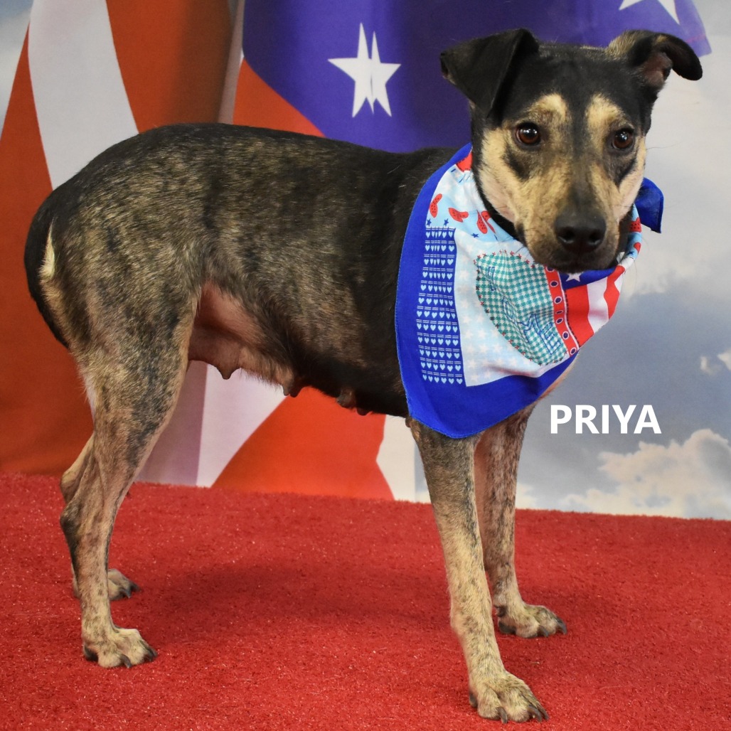 Priya