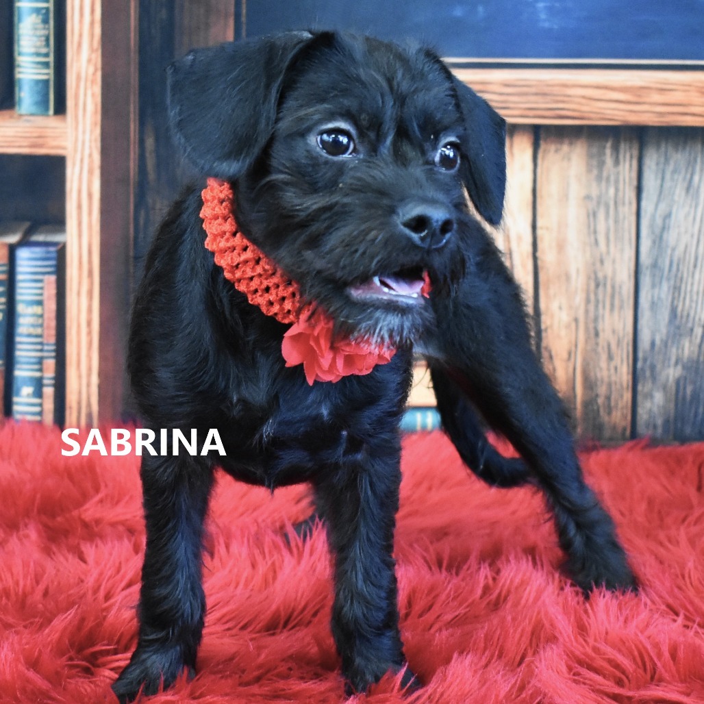 Sabrina