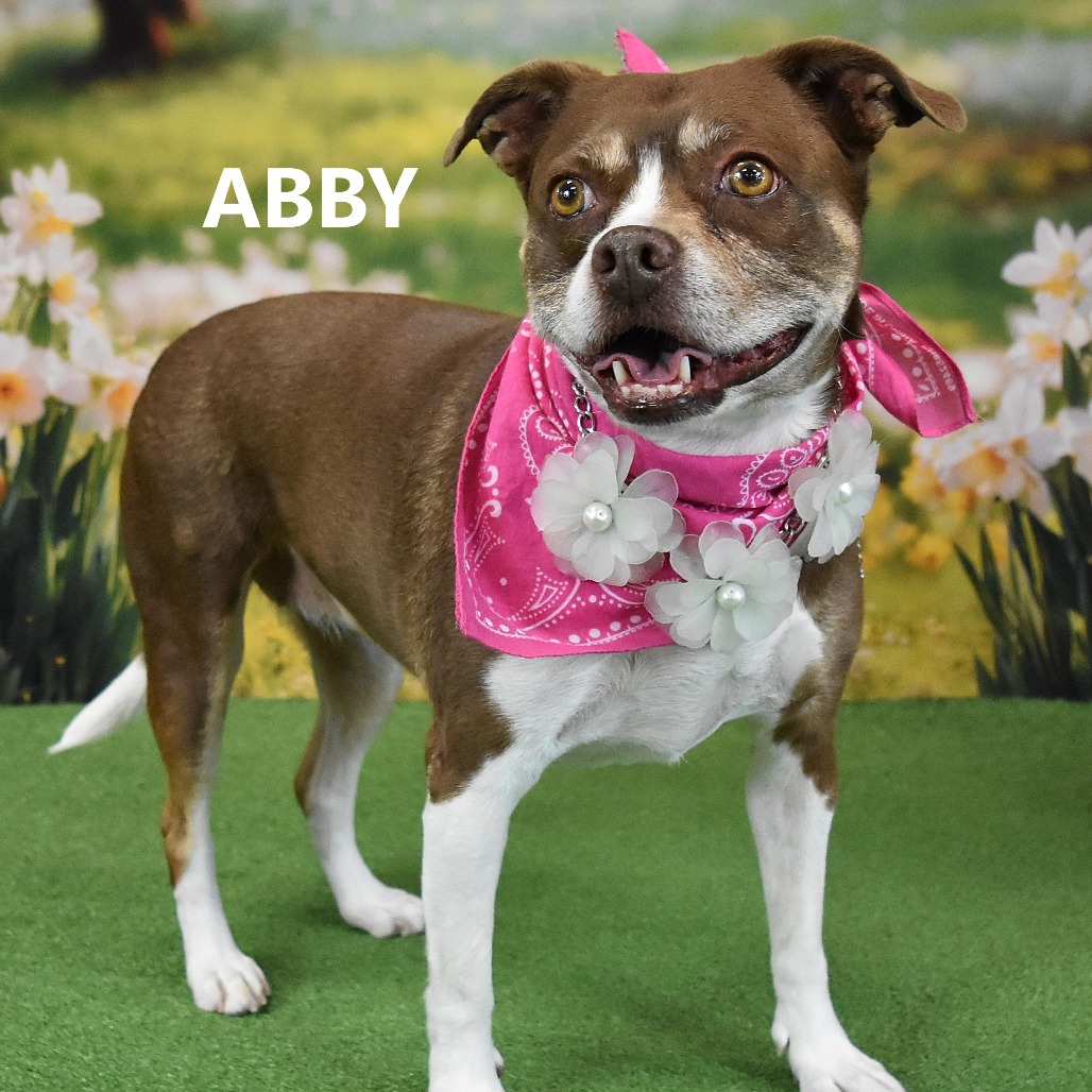 Abby