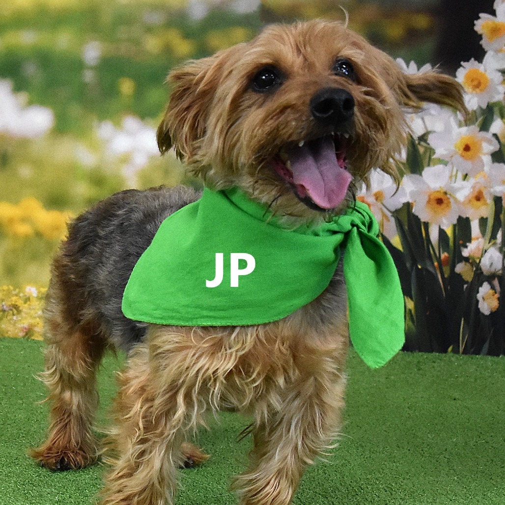 JP