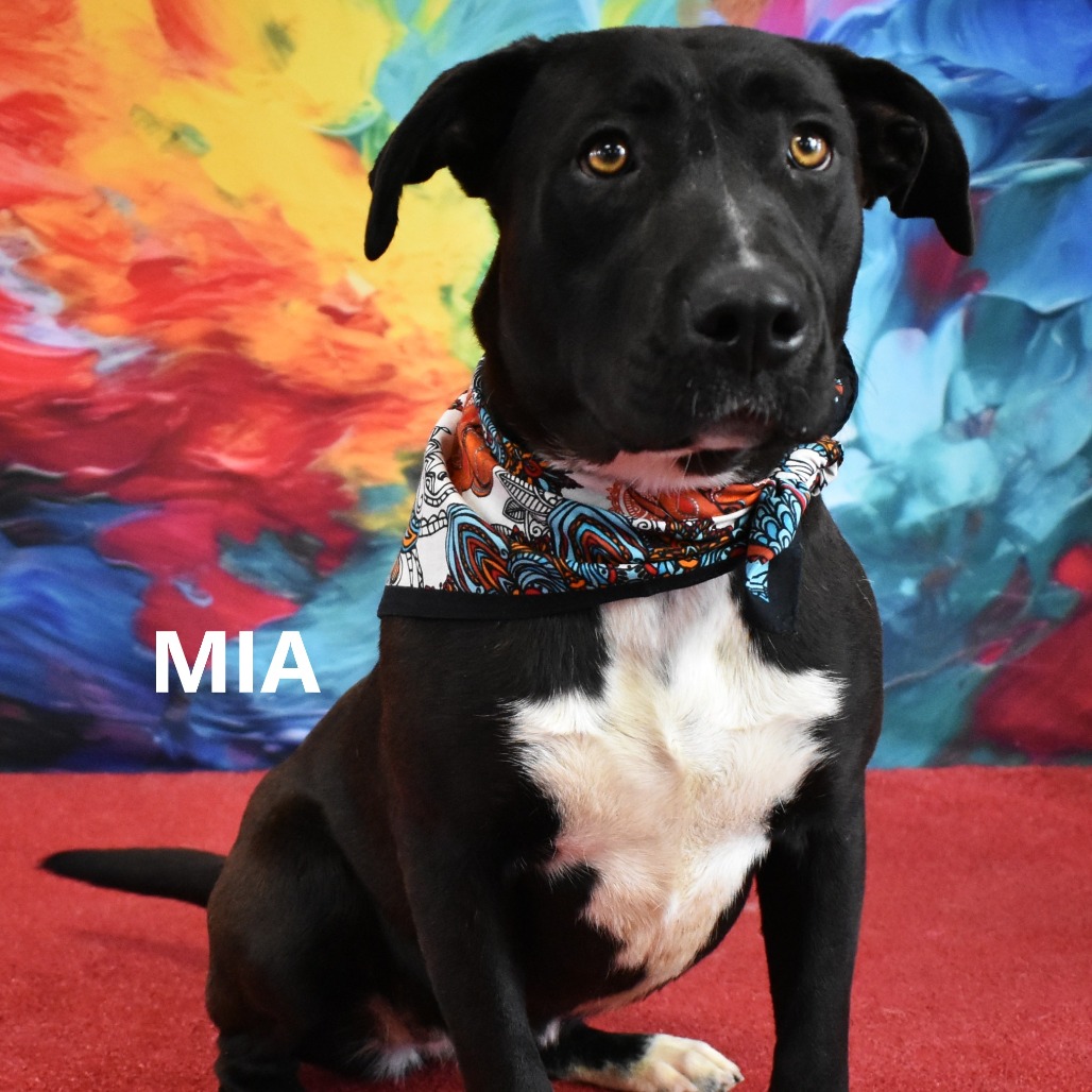 Mia