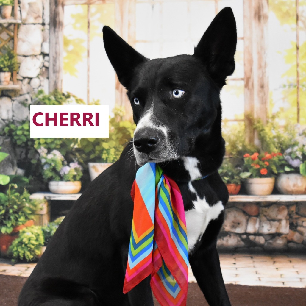 Cherri