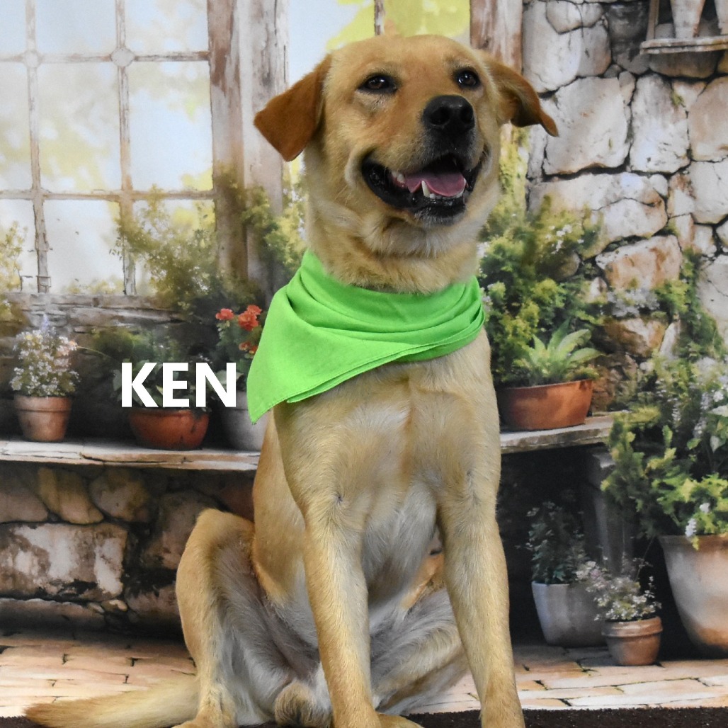 Ken
