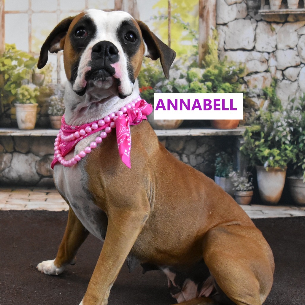 Annabell