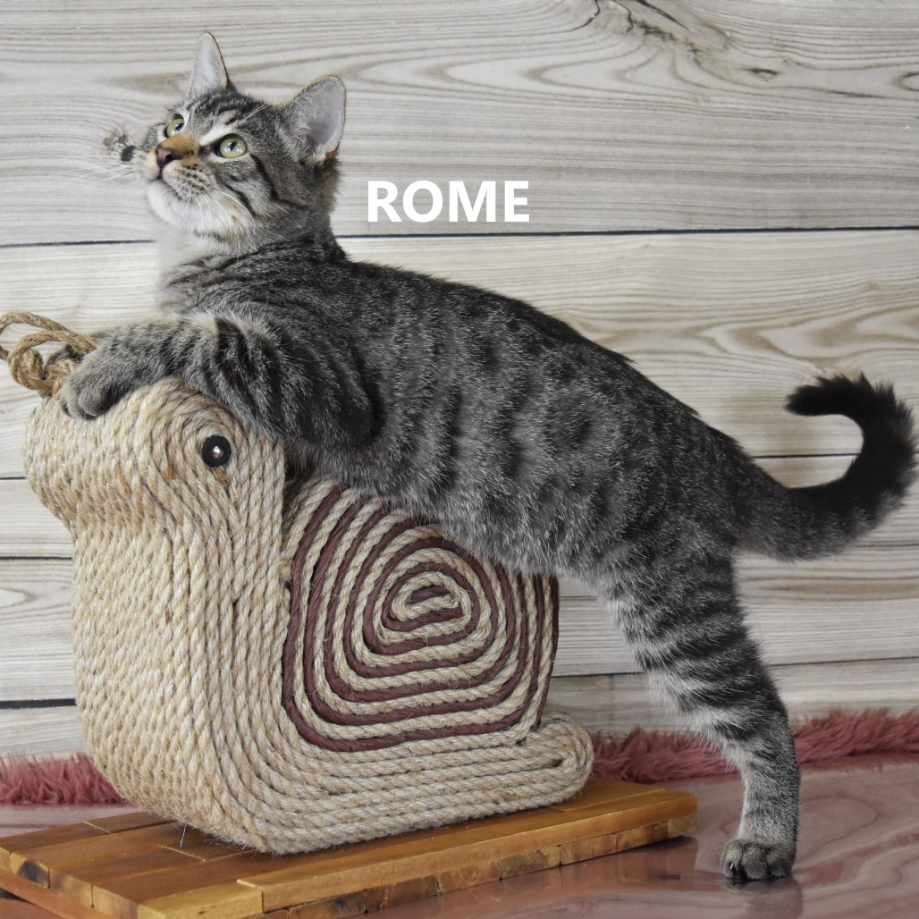Rome