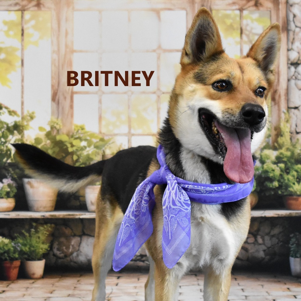 Britney 