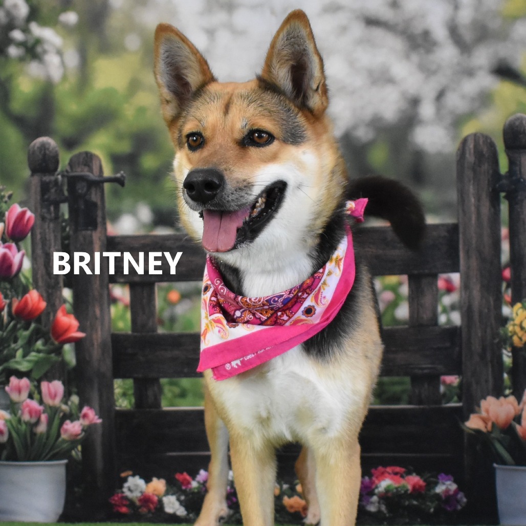 Britney 