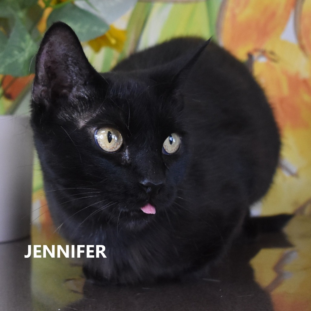 Jennifer 