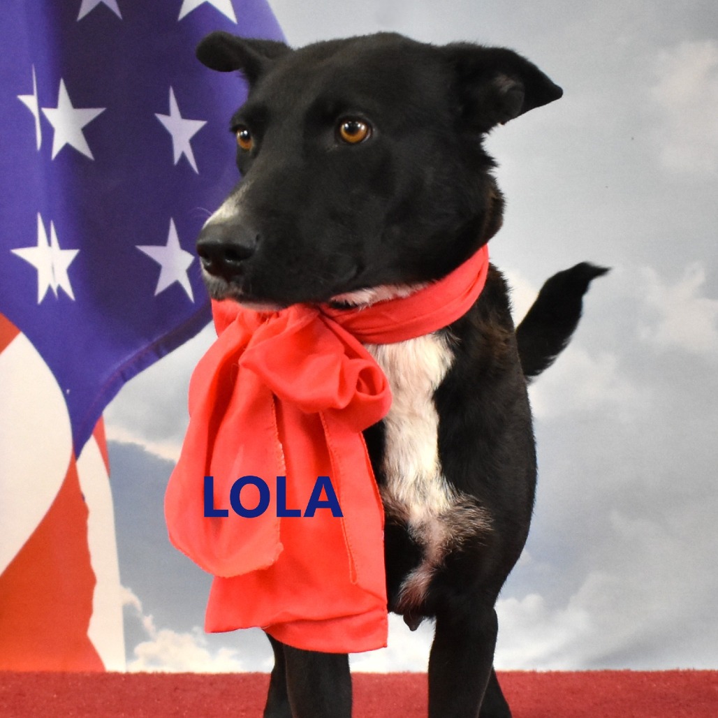 Lola
