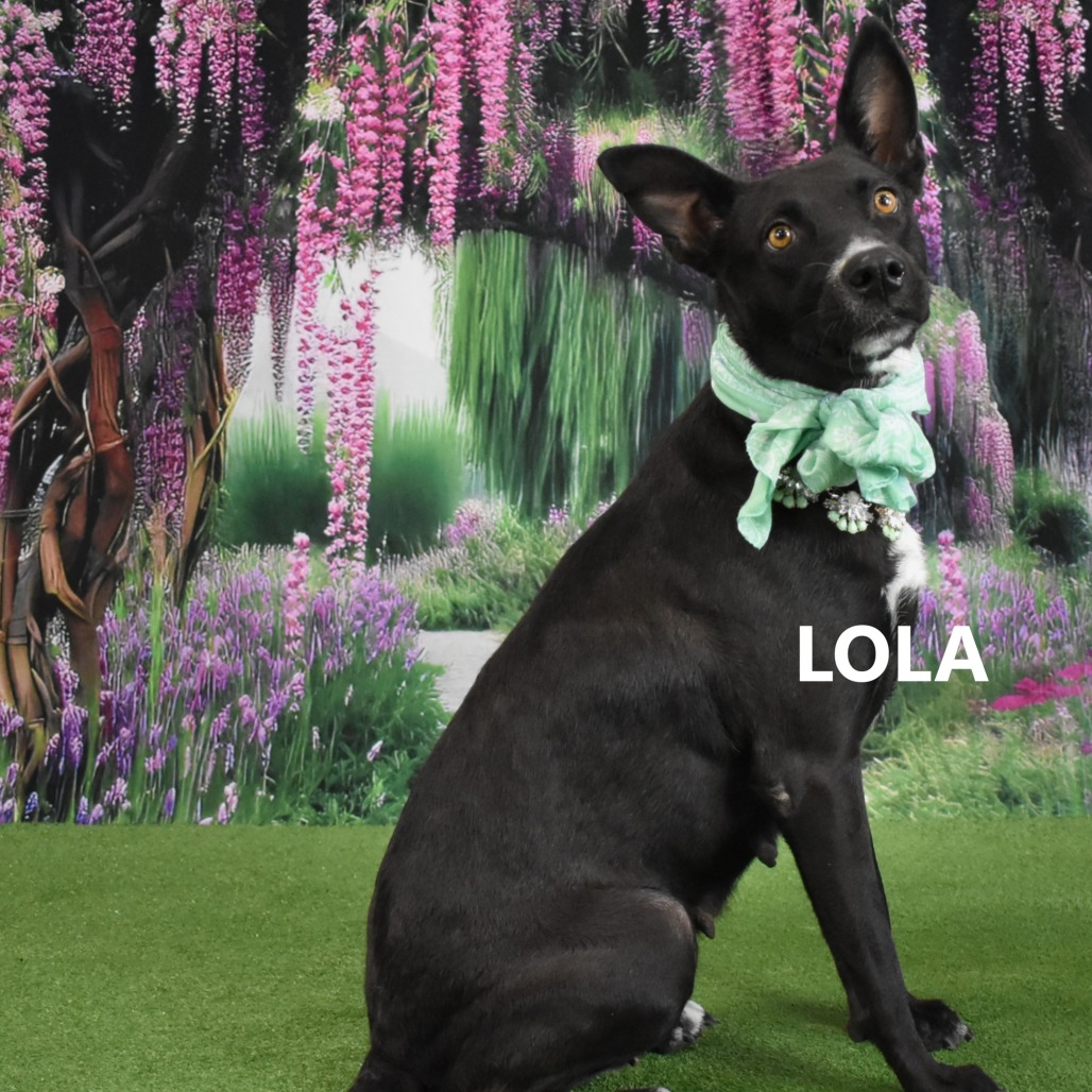 Lola