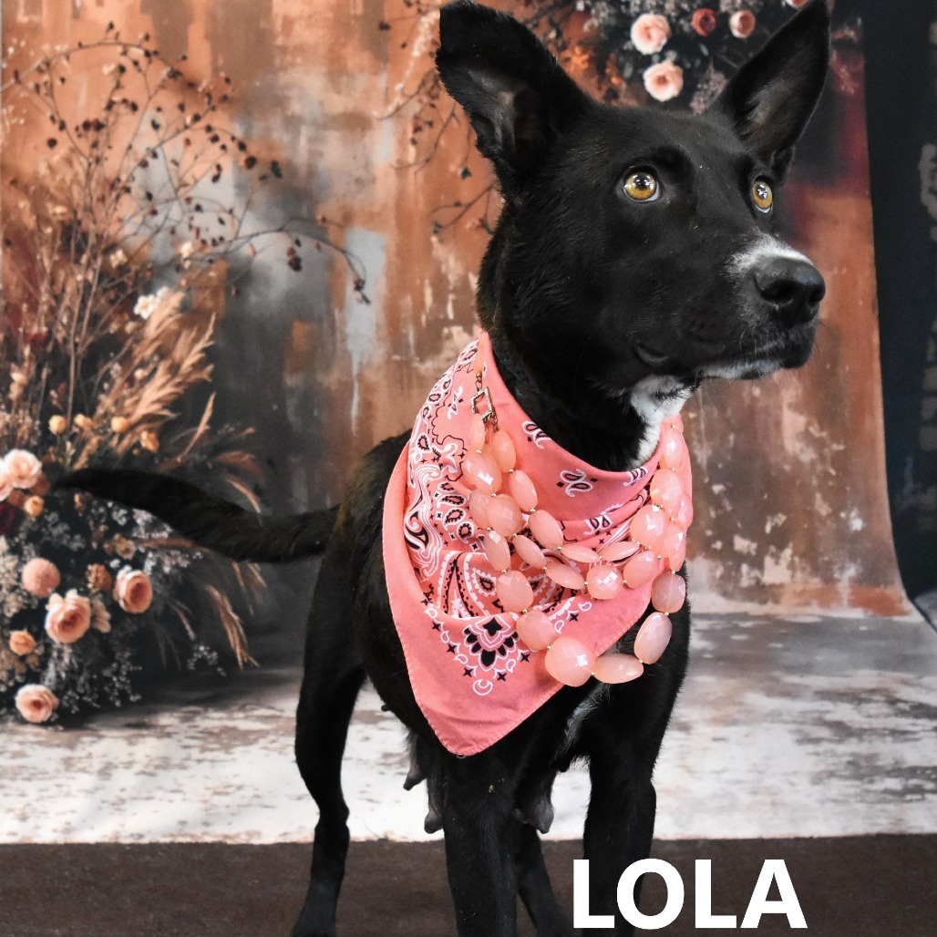 Lola