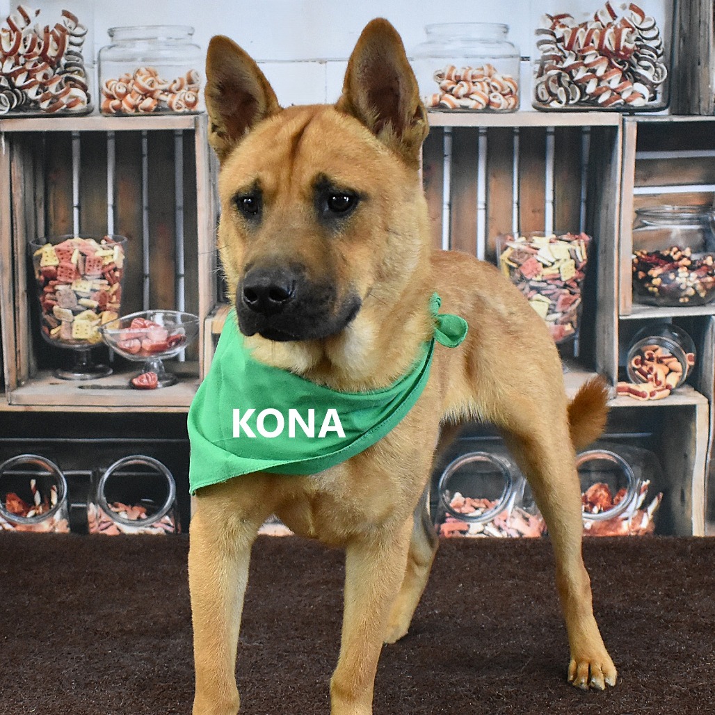 Kona 