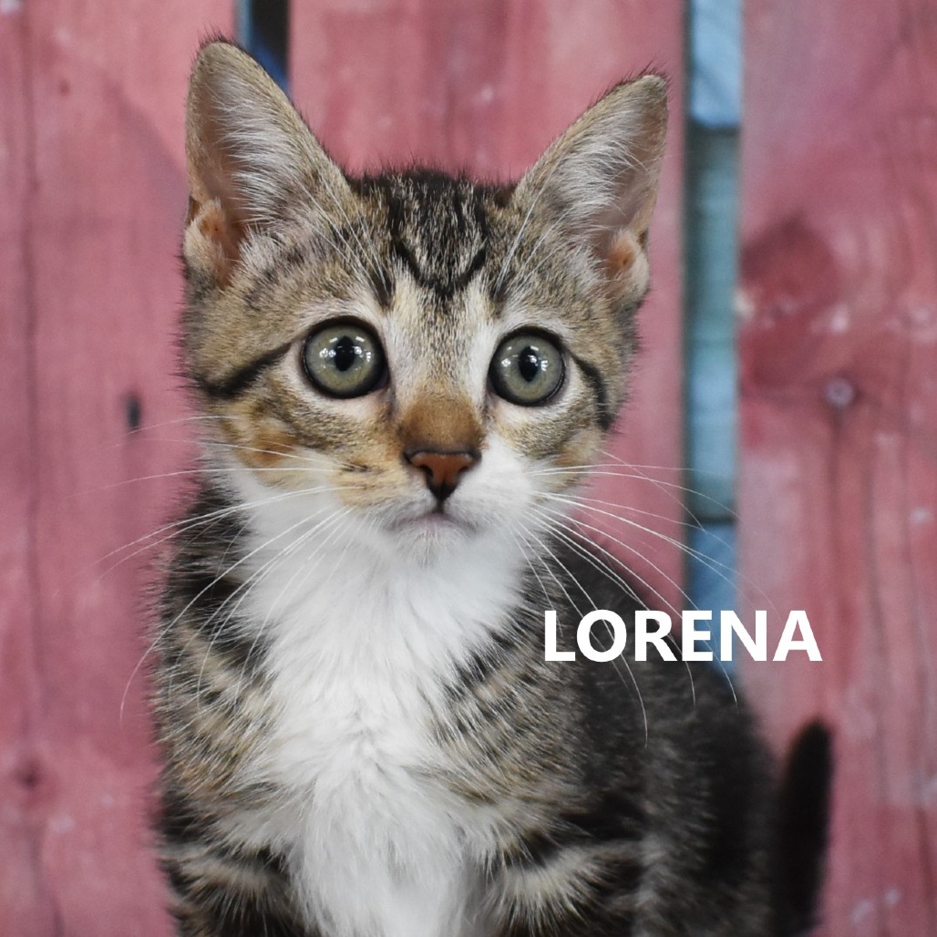 Lorena