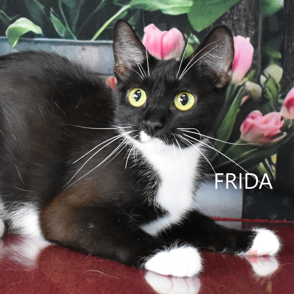 Frida