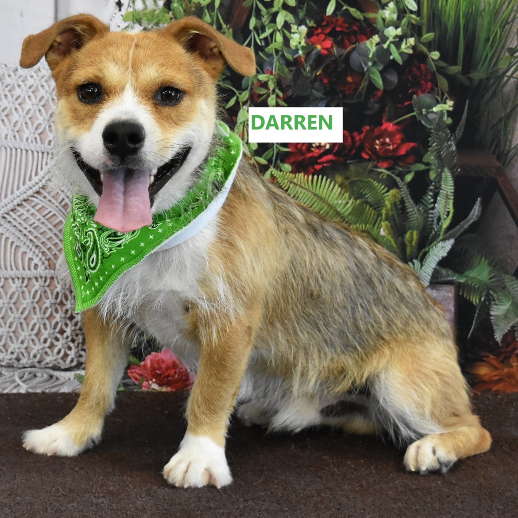 Darren