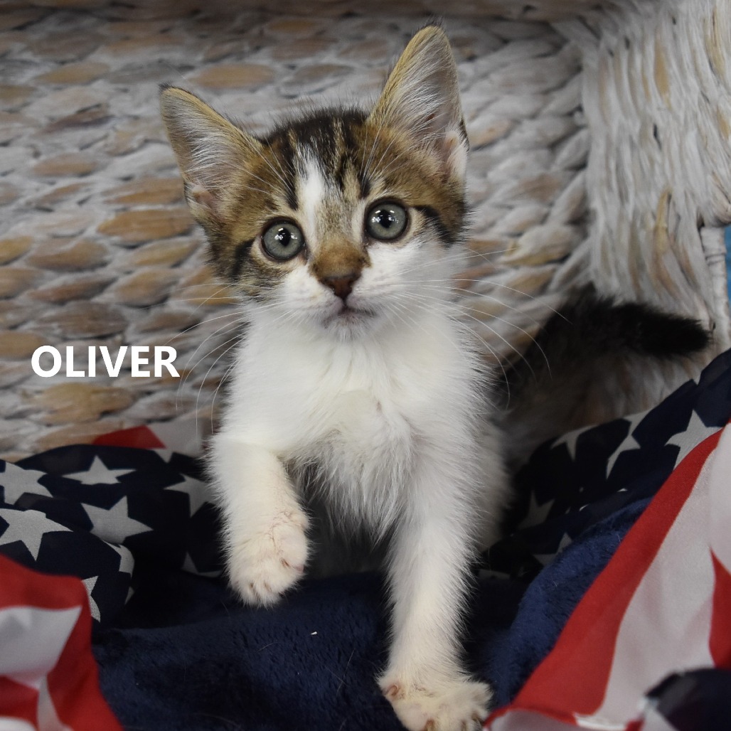 Oliver