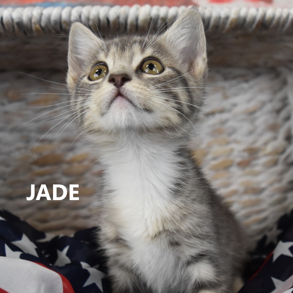 Jade