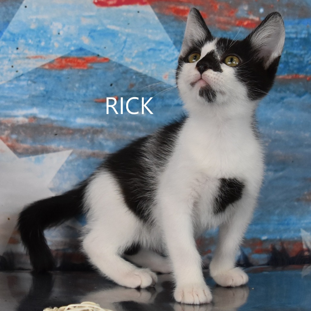 Rick