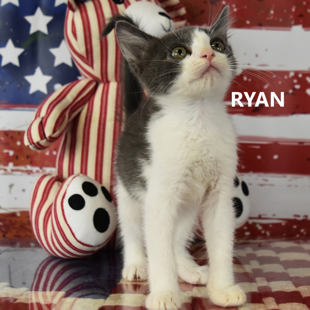 Ryan