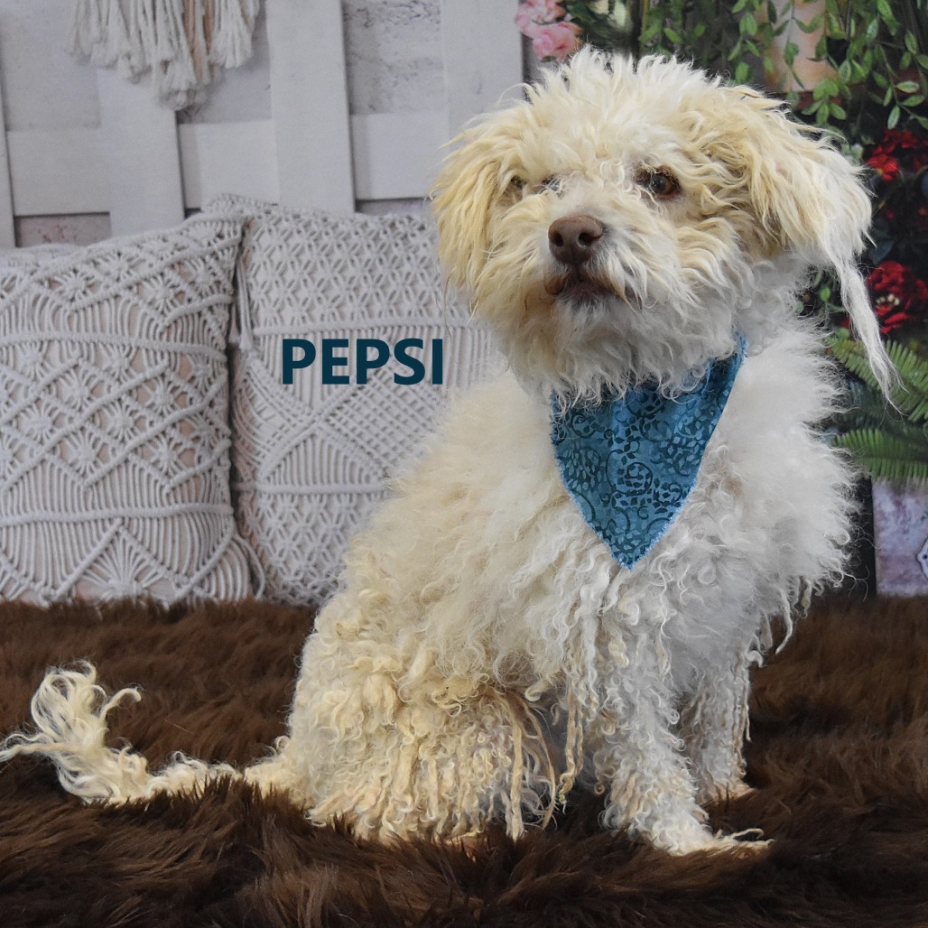 Pepsi