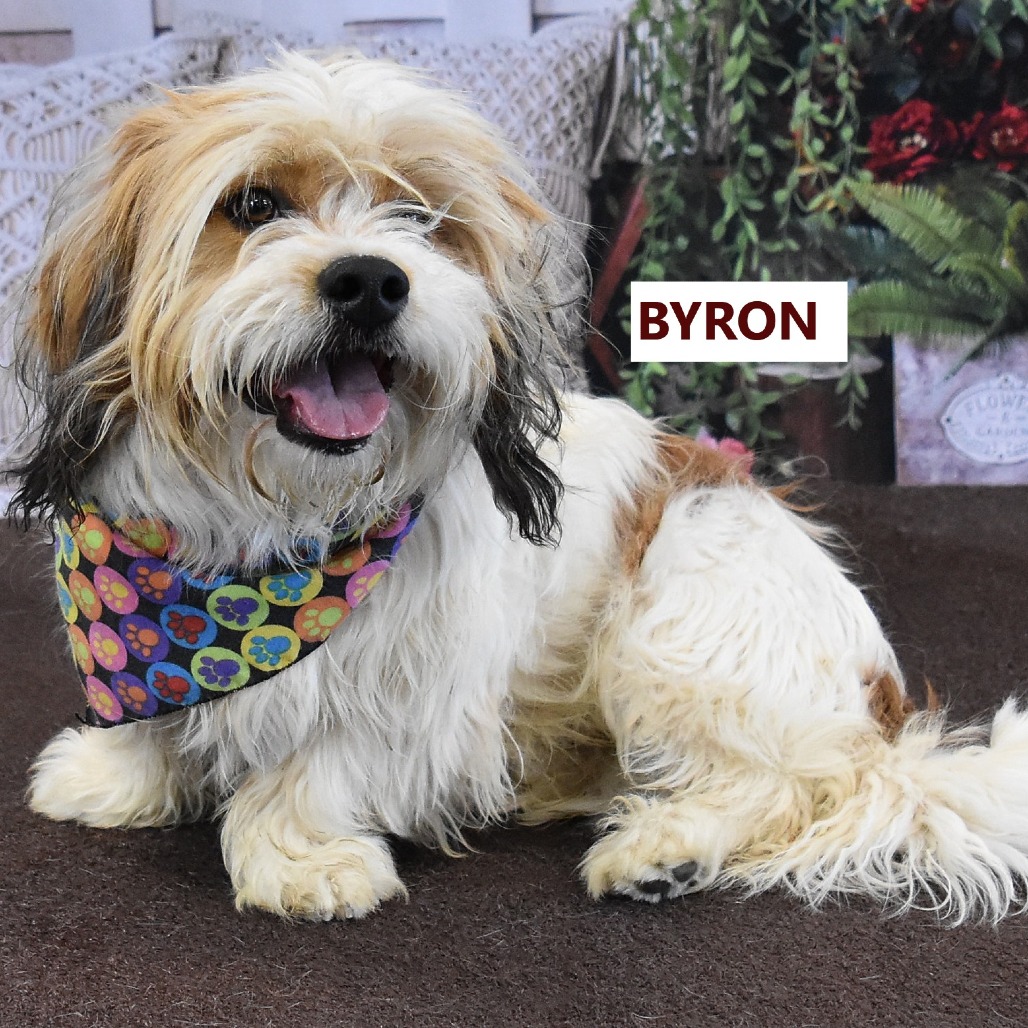Byron