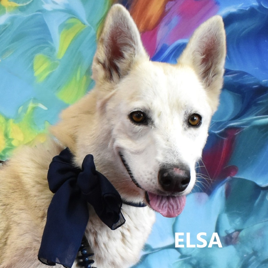 Elsa