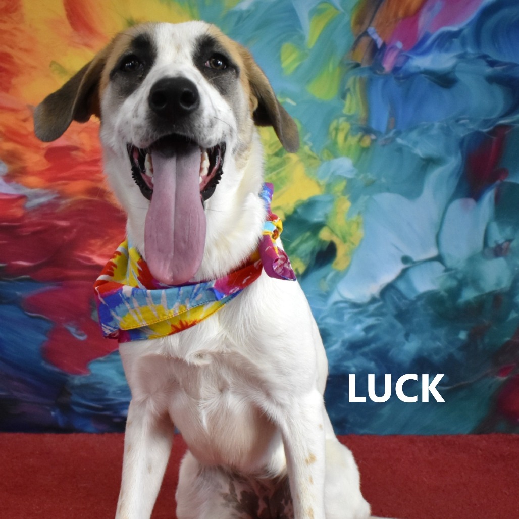 Luck