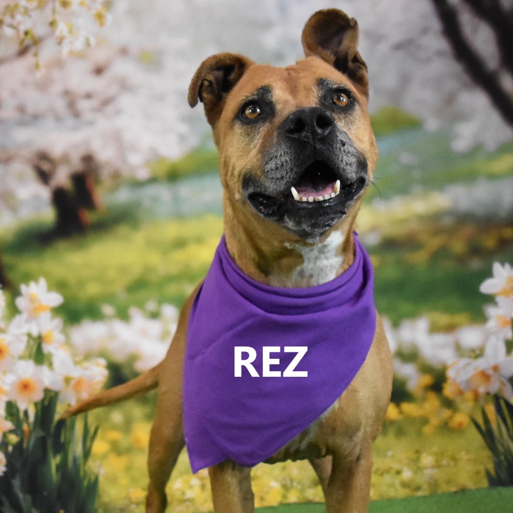 Rez