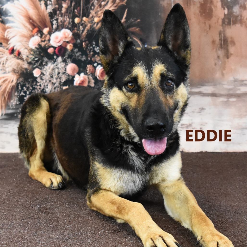 Eddie