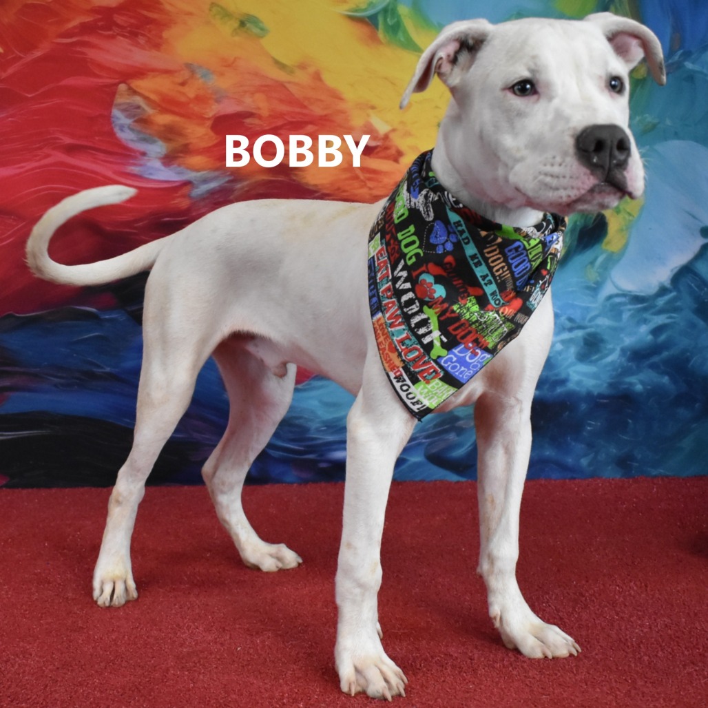 Bobby 